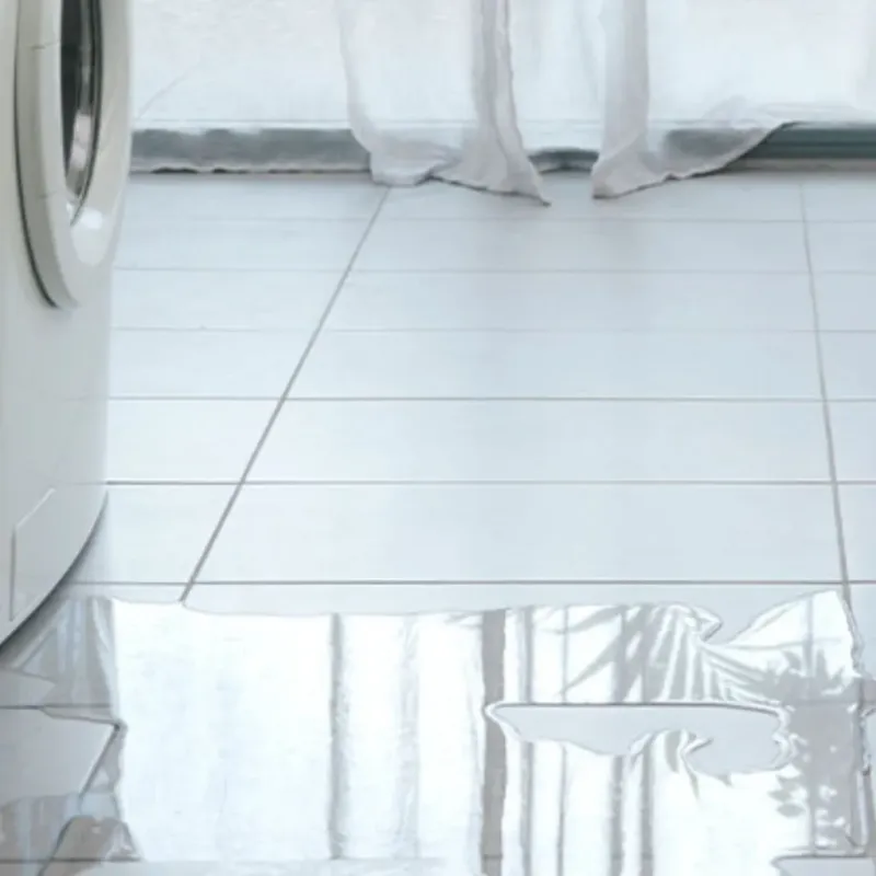 Appliance Leak Cleanup in Olean, NY