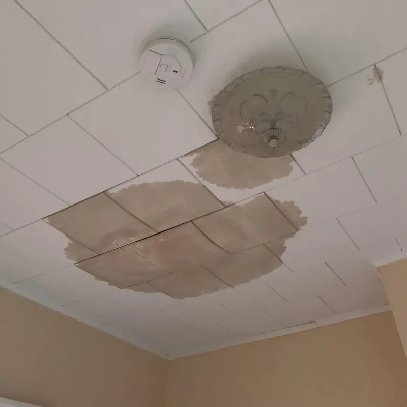 Ceiling Water Damage Repair in Olean, NY