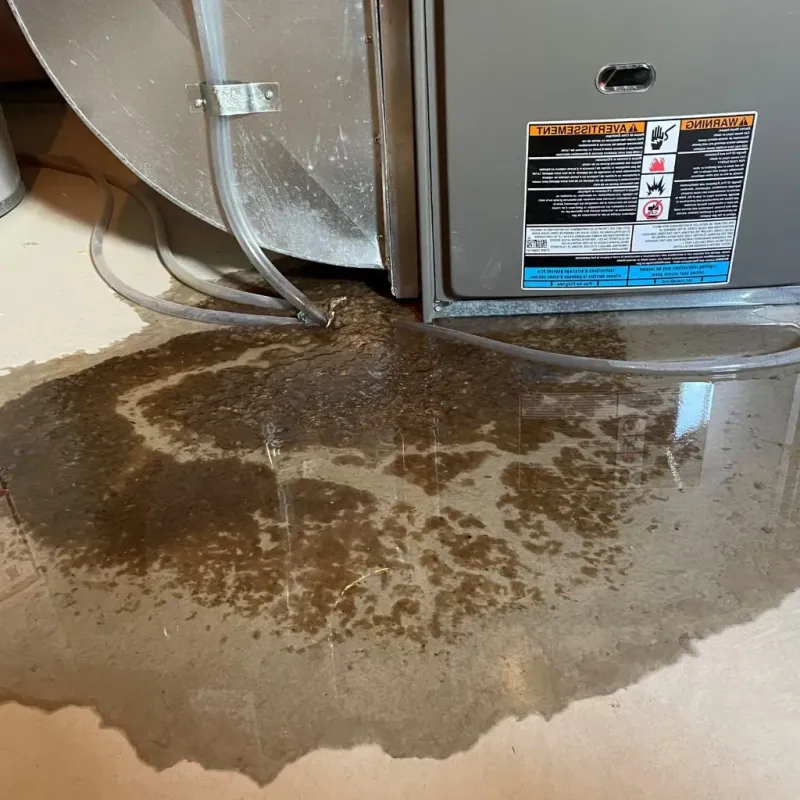 Pipe Burst and Leak Restoration in Olean, NY